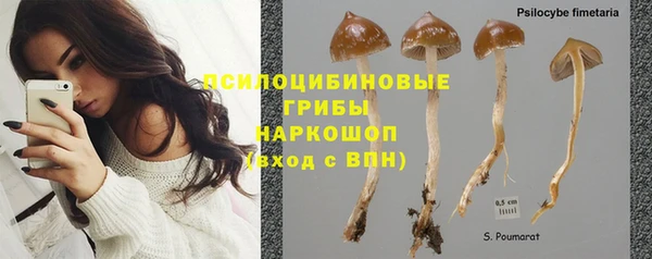мескалин Бронницы